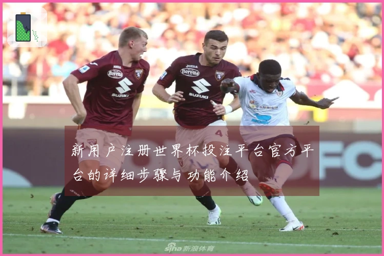 新用户注册世界杯投注平台官方平台的详细步骤与功能介绍