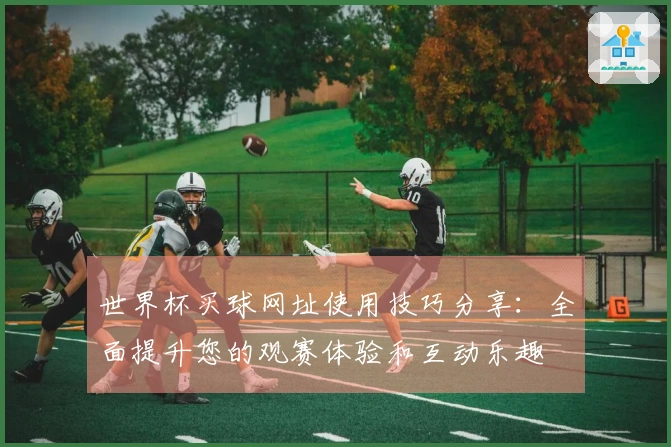 世界杯买球网址使用技巧分享：全面提升您的观赛体验和互动乐趣