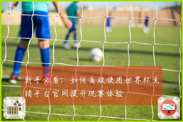 新手必看：如何高效使用世界杯竞猜平台官网提升观赛体验