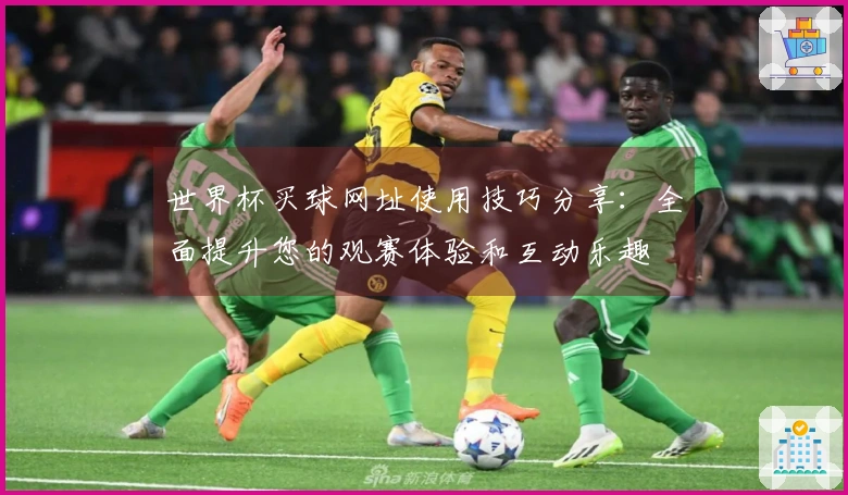 世界杯买球网址使用技巧分享：全面提升您的观赛体验和互动乐趣