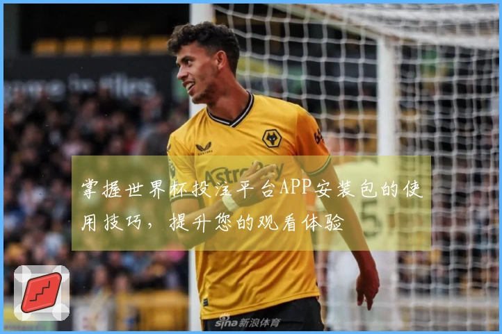 掌握世界杯投注平台APP安装包的使用技巧，提升您的观看体验
