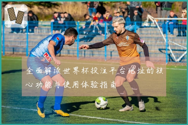 全面解读世界杯投注平台地址的核心功能与使用体验指南