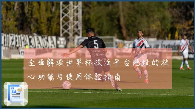 全面解读世界杯投注平台地址的核心功能与使用体验指南