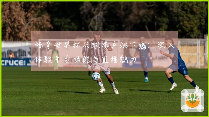 畅享世界杯买球客户端下载：深入体验平台功能与直播魅力