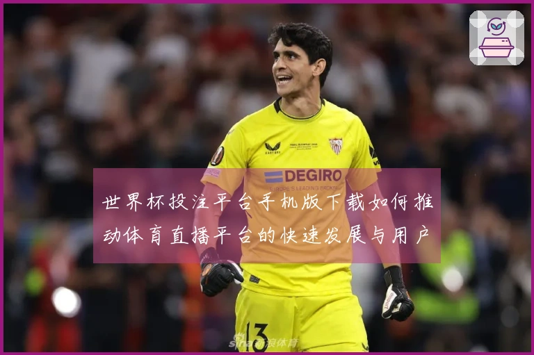 世界杯投注平台手机版下载如何推动体育直播平台的快速发展与用户体验提升