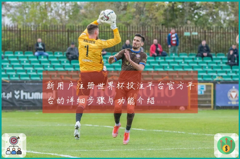 新用户注册世界杯投注平台官方平台的详细步骤与功能介绍