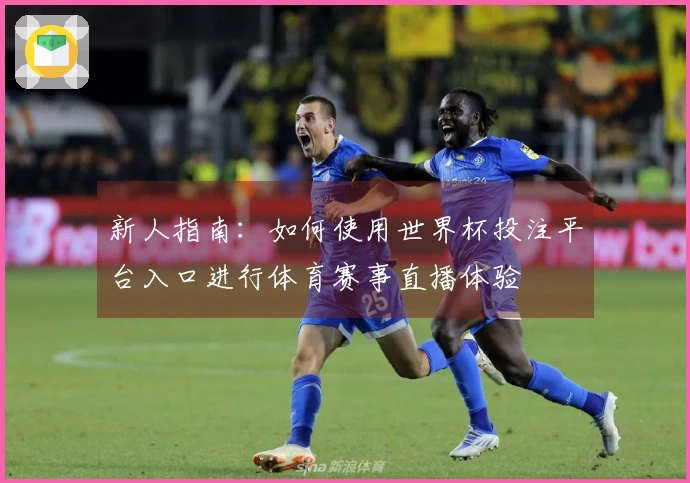 新人指南:如何使用世界杯投注平台入口进行体育赛事直播体验