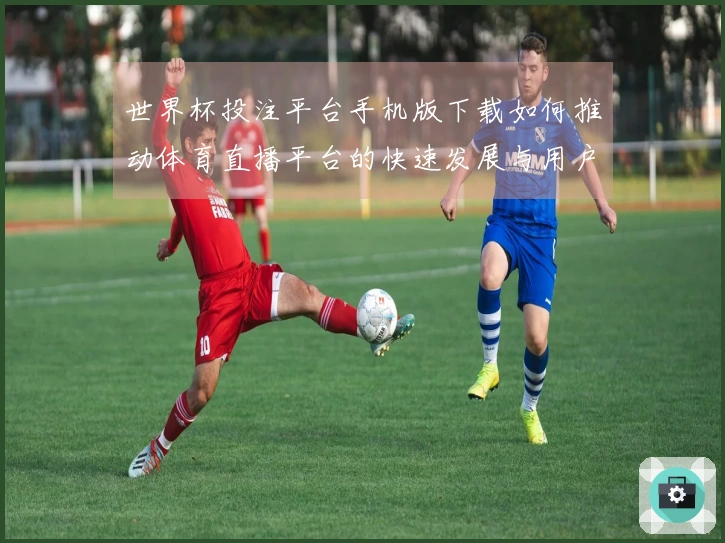 世界杯投注平台手机版下载如何推动体育直播平台的快速发展与用户体验提升