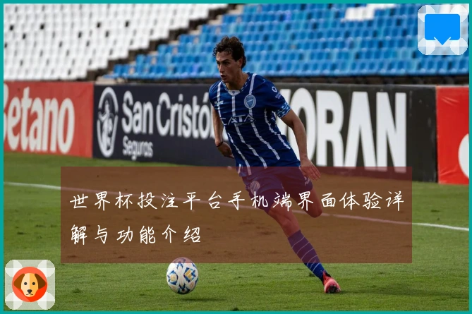 世界杯投注平台手机端界面体验详解与功能介绍